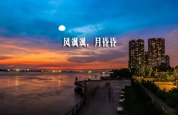 时雨：《江城子·祭父》
