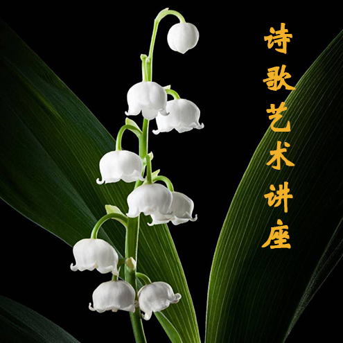 ​范云程：诗歌艺术讲座（三）
